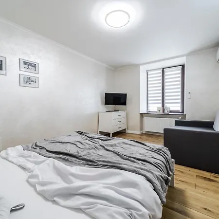 Inshiapartments On Knyazya Romana